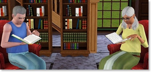 Leaderville Library